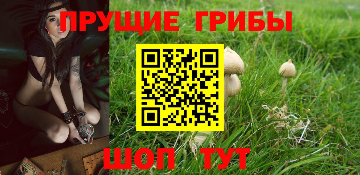 Галлюциногенные грибы Magic Shrooms Бутурлиновка