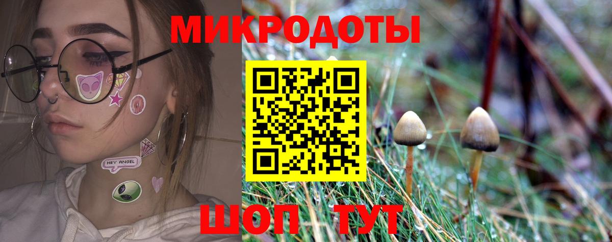Галлюциногенные грибы MAGIC MUSHROOMS  Псилоцибиновые грибы Cubensis  Бутурлиновка  Вход с VPN 